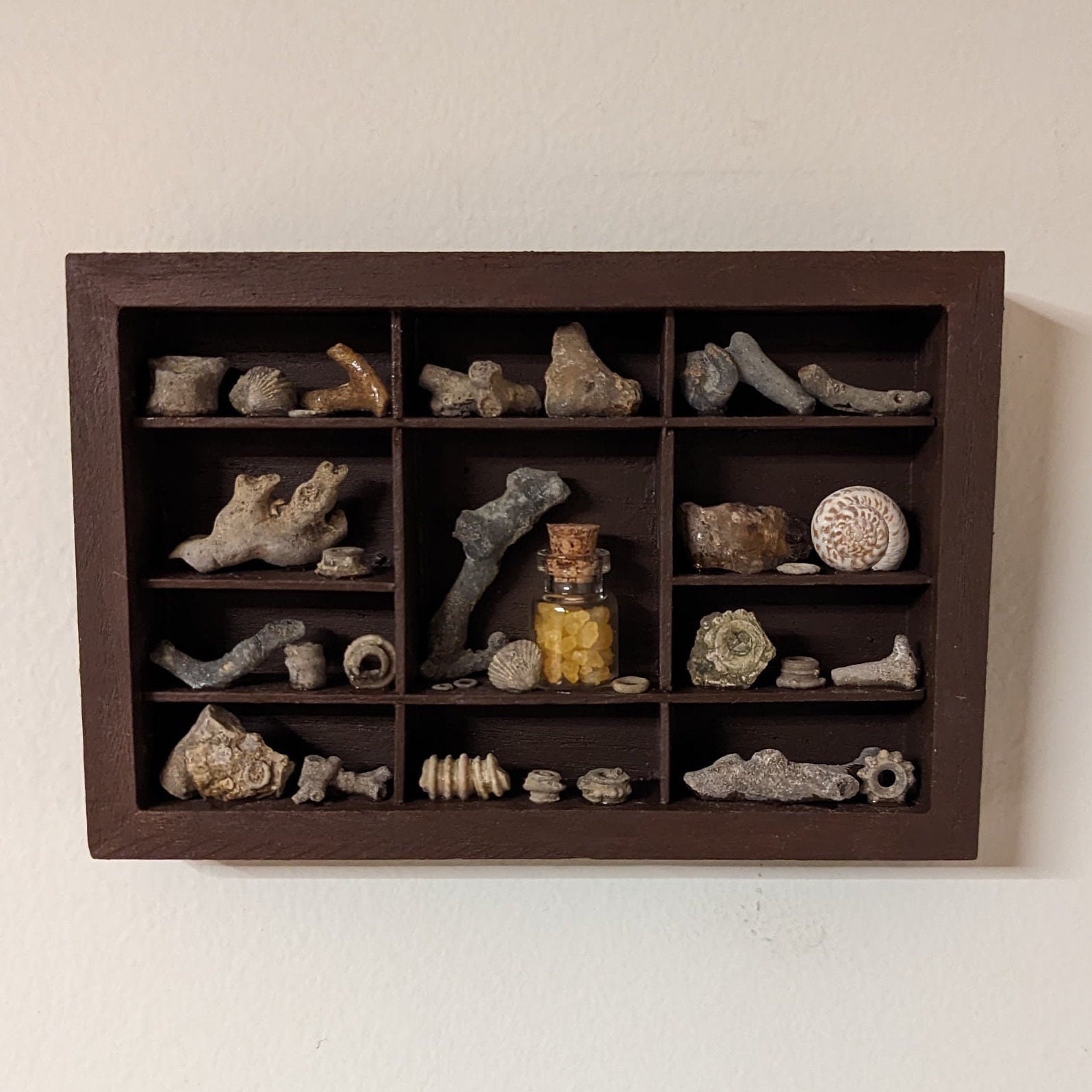 Wooden Curiosity Cabinet Printer Tray Letterbox Display, Rock Display,  Shelf of Curiosities Wall Decor Cabinet Vintage Drawer REAL FOSSILS 