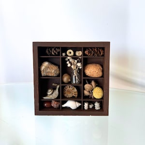 Wooden Curiosity Cabinet Printer Tray Letterbox Display, Rock Display, Shadow Box Wall Decor Cabinet Vintage Drawer Trinket Shelf Treasure