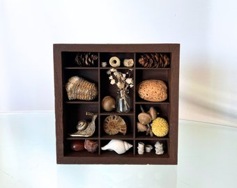 Wooden Curiosity Cabinet Printer Tray Letterbox Display, Rock Display, Shadow Box Wall Decor Cabinet Vintage Drawer Trinket Shelf Treasure