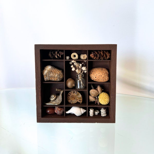 Wooden Curiosity Cabinet Printer Tray Letterbox Display, Rock Display, Shadow Box Wall Decor Cabinet Vintage Drawer Trinket Shelf Treasure