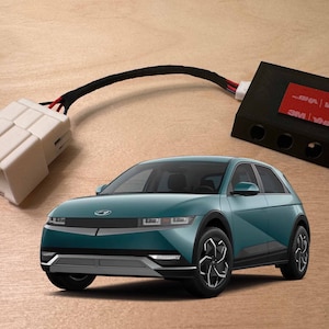 Hyundai Ioniq 5 Automatic Door Locker | Ex-Tesla Owners, Rejoice!