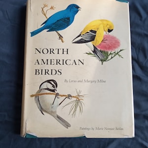 Book of North America Birds - Etsy