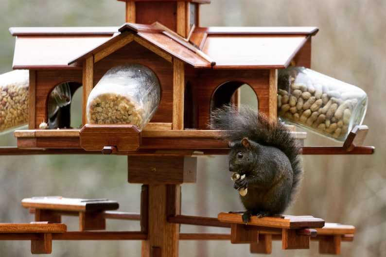 King of the Castle Squirrel Feeder Etsy Canada