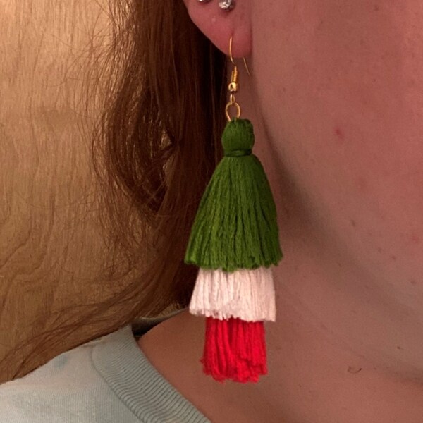 Mexican flag earrings Clearance
