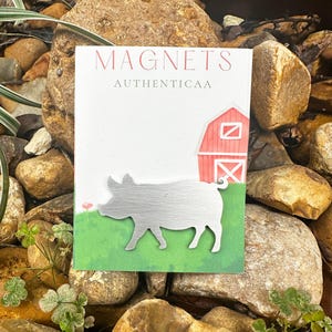 Varkensmagneet - roestvrij staal - boerderijthema - geïllustreerde kaart - gemaakt in de VS