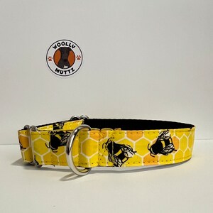 May include: A yellow and black dog collar with a honeycomb and bee pattern. The collar is made of fabric and has two silver metal D-rings.