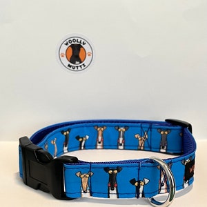 Richard Skipworth design, 1” wide, slip on House/tag collar or buckle collar 4 sizes
