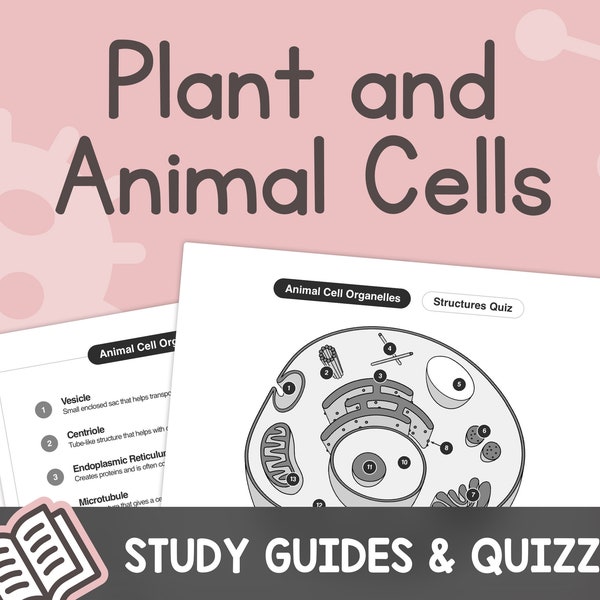 Animal and Plant Cell Svg - Etsy