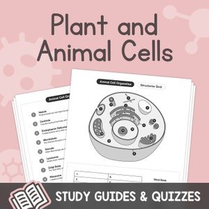 Animal and Plant Cells – Organelle Structures and Functions Study Guides & Quizzes – No Prep (Printable PDF)