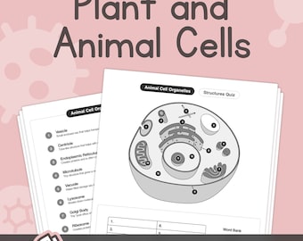 Komórki zwierzęce i roślinne – struktury i funkcje organelli – przewodniki do nauki i quizy – bez przygotowania (plik PDF do wydruku)