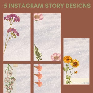 Instagram Story Design - Fünf themenbezogene Designs