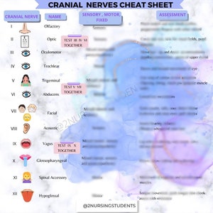 Cranial Nerves Cheat Sheet