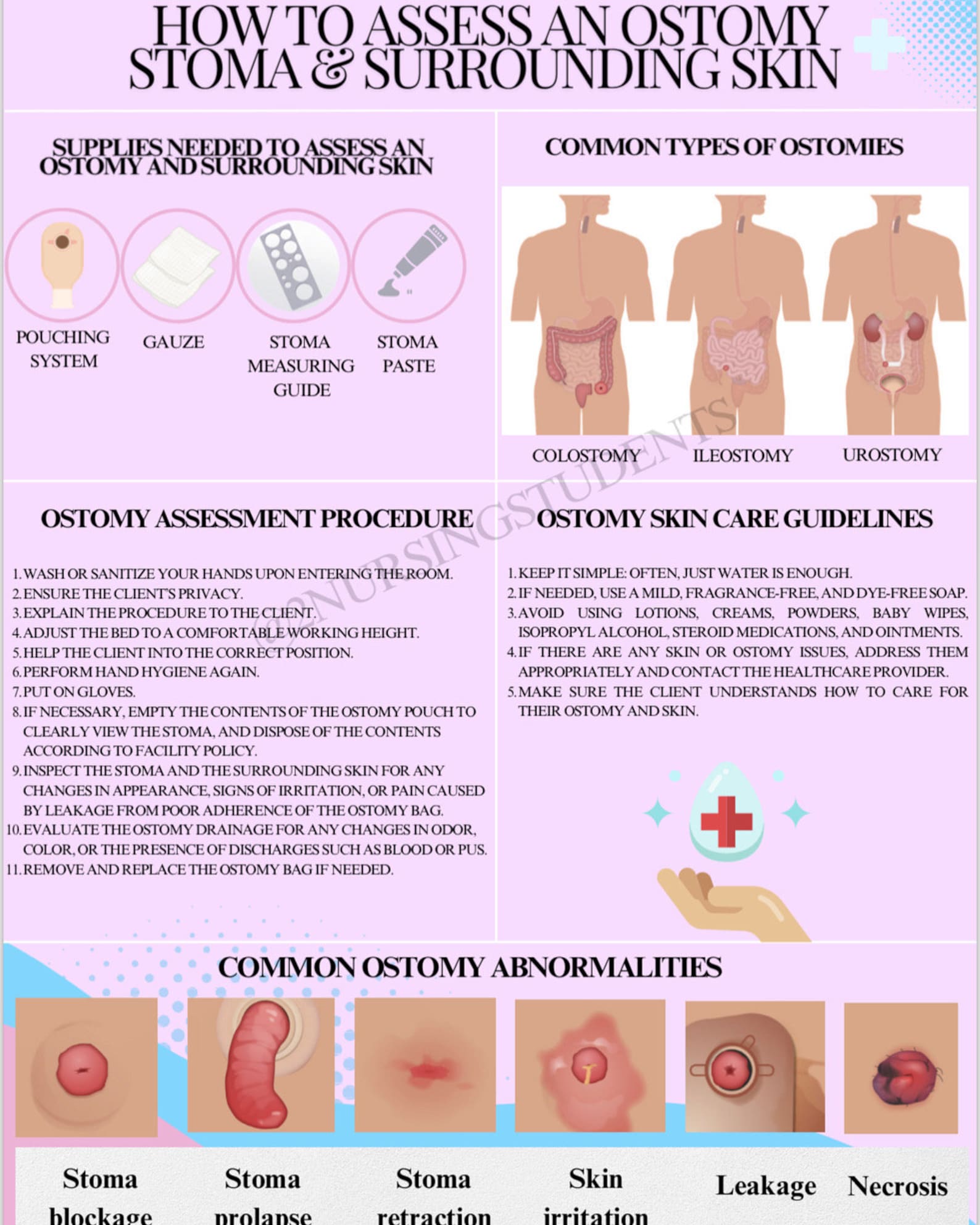 Ostomy Stoma Assessment - Etsy