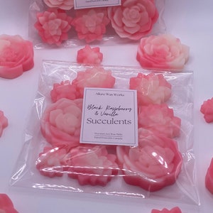 Black Raspberry & Vanilla Succulents All Natural Soy Wax Melts | Succulent Plant Shaped Premium Wax Melts