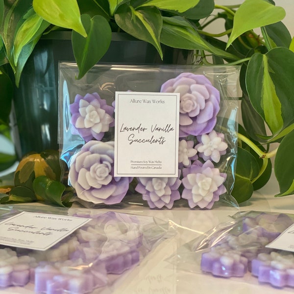 Lavender Vanilla All Natural Succulent Wax Melts | Premium Soy Wax Melts