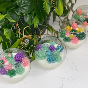 Sukkulente Gartenkerze | Terrarium All Natural Soja Kerze