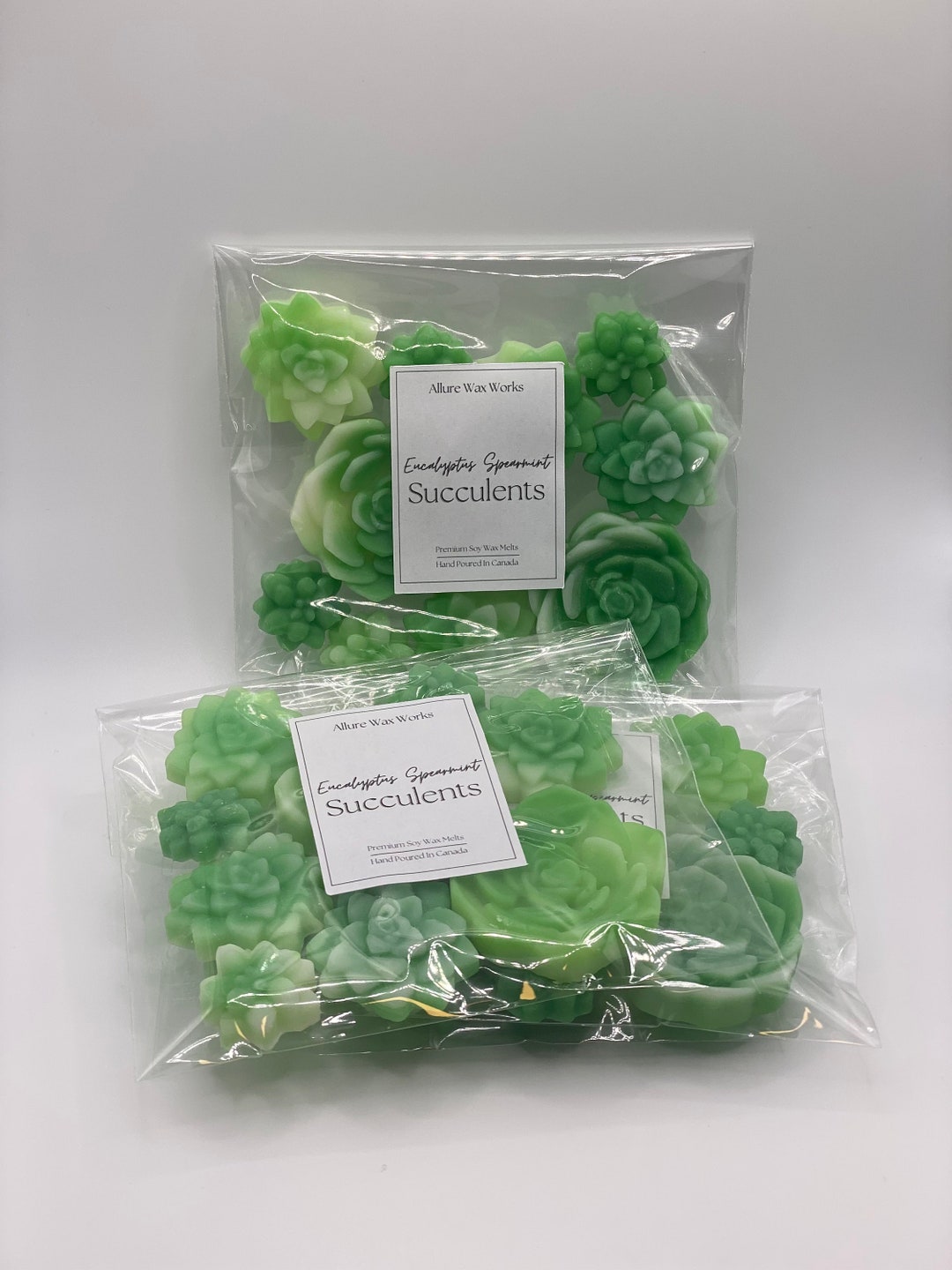 Eucalyptus Spearmint Succulents All Natural Soy Wax Melts | Succulent ...