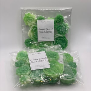 Eukalyptus Spearmint Sukkulenten Alle natürlichen Sojawachs schmelzen | Sukkulenten-Pflanzenform Premium-Wachsschmelze