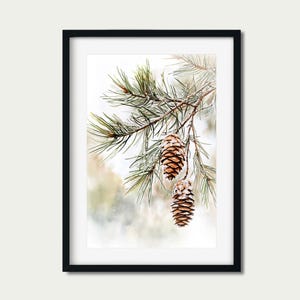 May include: Two pine cones covered in frost hang from a pine branch against a blurred background of green and white.