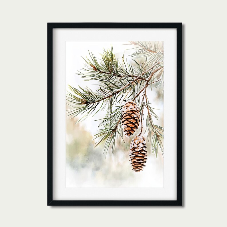 May include: Two pine cones covered in frost hang from a pine branch against a blurred background of green and white.