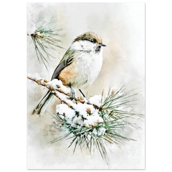Chickadee Watercolor Print: Snowy Pine Branch Winter Wall Art