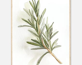 chieart 『Maria Rose』　壁掛けサイズ Rosemary Watercolor Print: Botanical Kitchen Herb Art - Etsy Israel