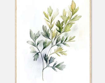パセリハーブの絵画 - オリジナルの水彩画からのプリント、「パセリ