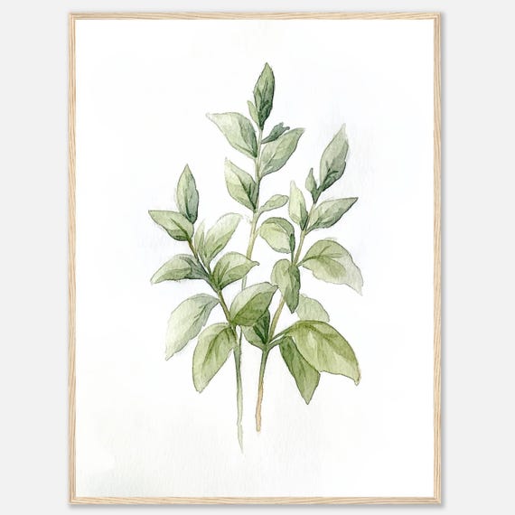 バジルの水彩画プリント：植物画風キッチンハーブアート - Etsy 日本