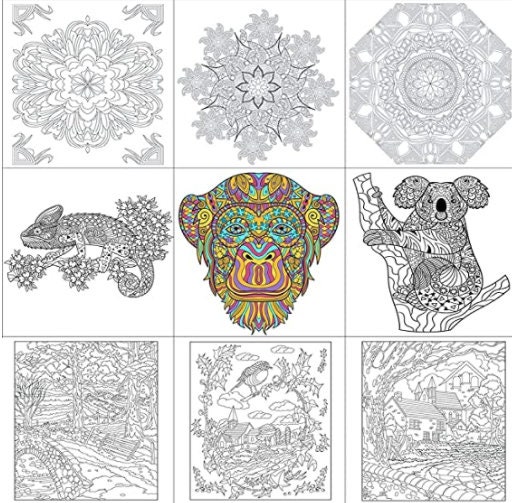 ADULT COLORING BOOK GIFT PACK - 3 Coloring Books Set with Colored