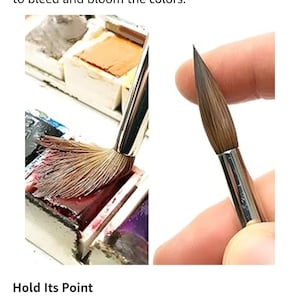 May include: Close-up of a watercolor brush with brown sable hair. The brush is being used to pick up paint from a watercolor pan. The text "Premium Sable Hair" and "Hold Its Point" is visible in the image.