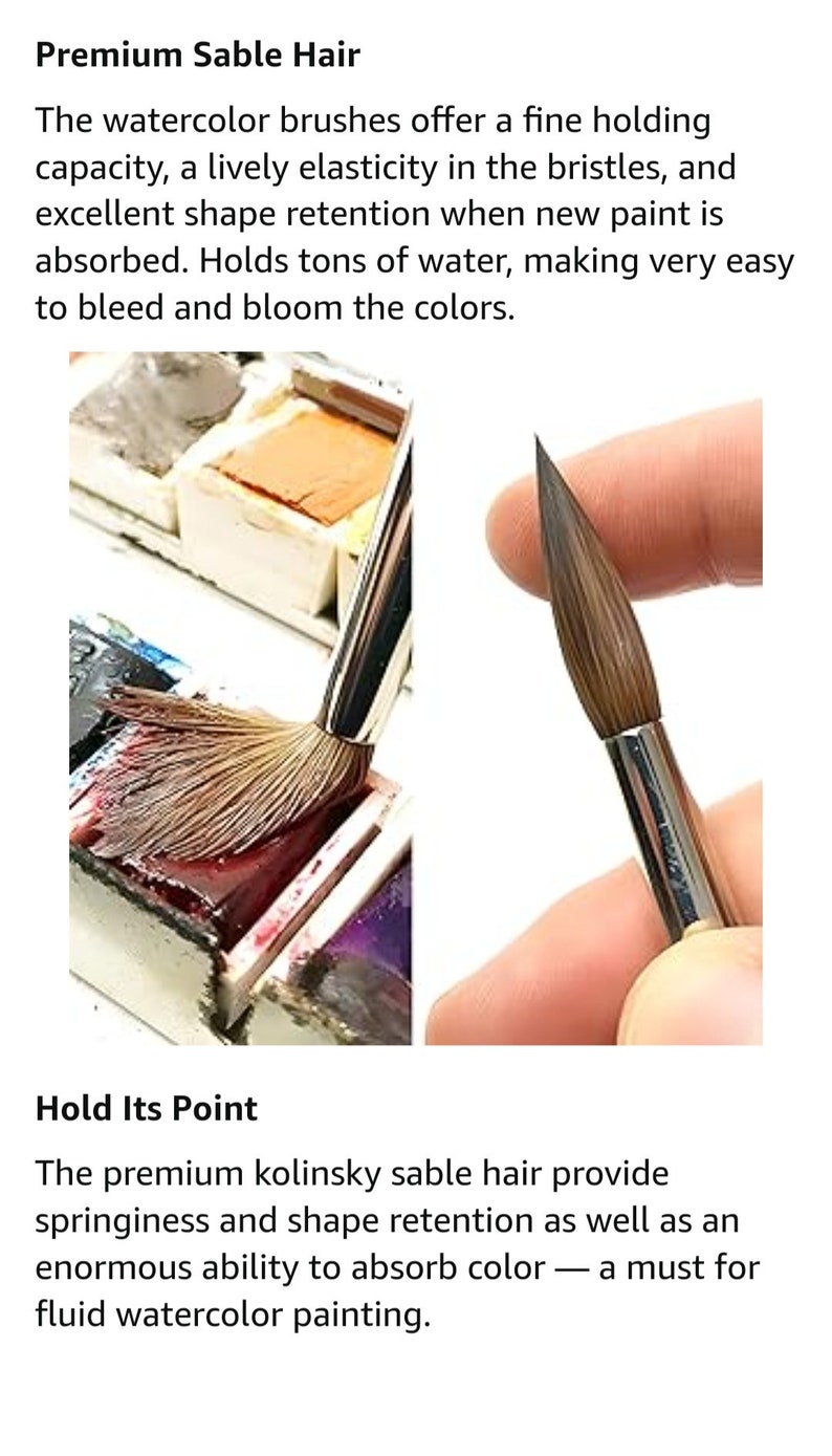 May include: Close-up of a watercolor brush with brown sable hair. The brush is being used to pick up paint from a watercolor pan. The text "Premium Sable Hair" and "Hold Its Point" is visible in the image.