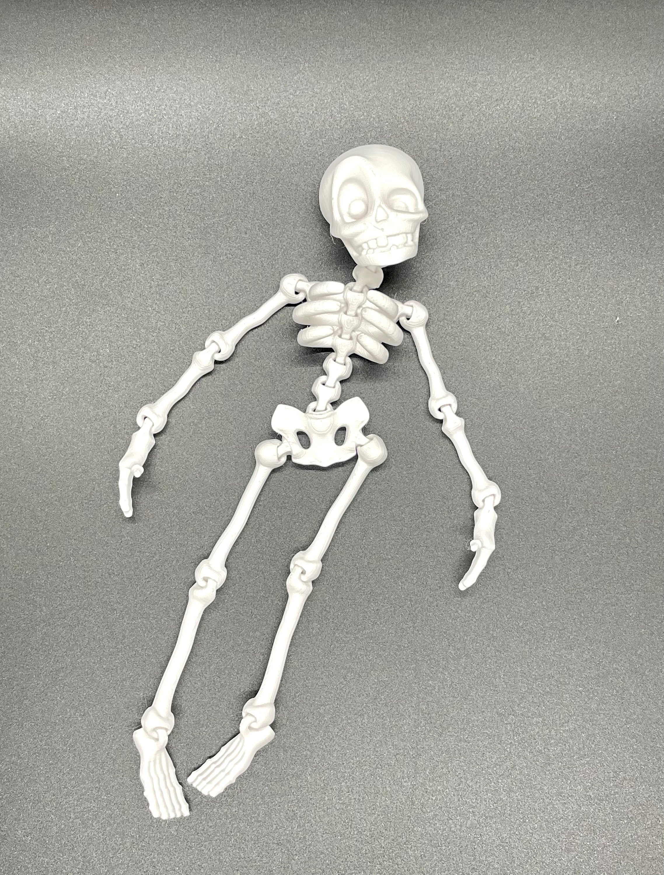 3D Printed Articulating Skeleton Flexible Sensory Toy Gadget Flexi