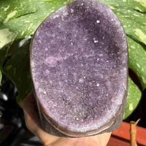 May include: A large, oval-shaped amethyst geode featuring a deep purple, crystalline interior with a rough, dark brown outer rock crust. The cluster of translucent, jagged quartz crystals fills the center, showcasing natural variations in color.