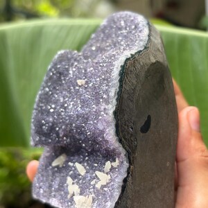 May include: A raw amethyst geode specimen featuring a deep purple crystalline interior with small, white, pointed mineral formations scattered across the surface. The exterior of the stone is a dark, textured, and rugged rock formation.