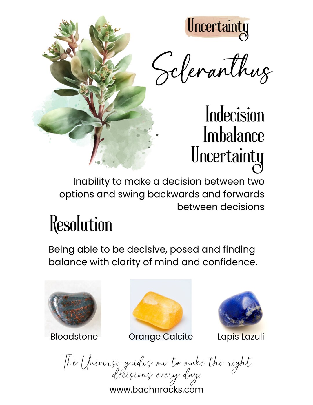 Bach Flower Essence SCLERANTHUS Etsy