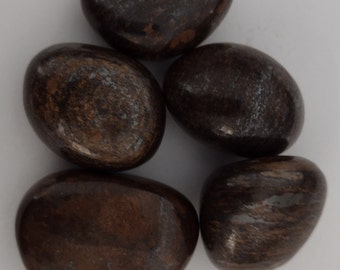 BRONZITE ~ Tumbled Gemstone Pocket Stone