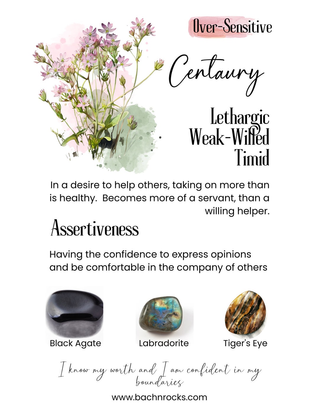 Bach Flower Essence CENTAURY Remedy Over Sensitive Etsy