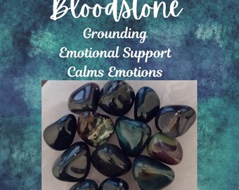 BLOODSTONE tumbled pocket stone