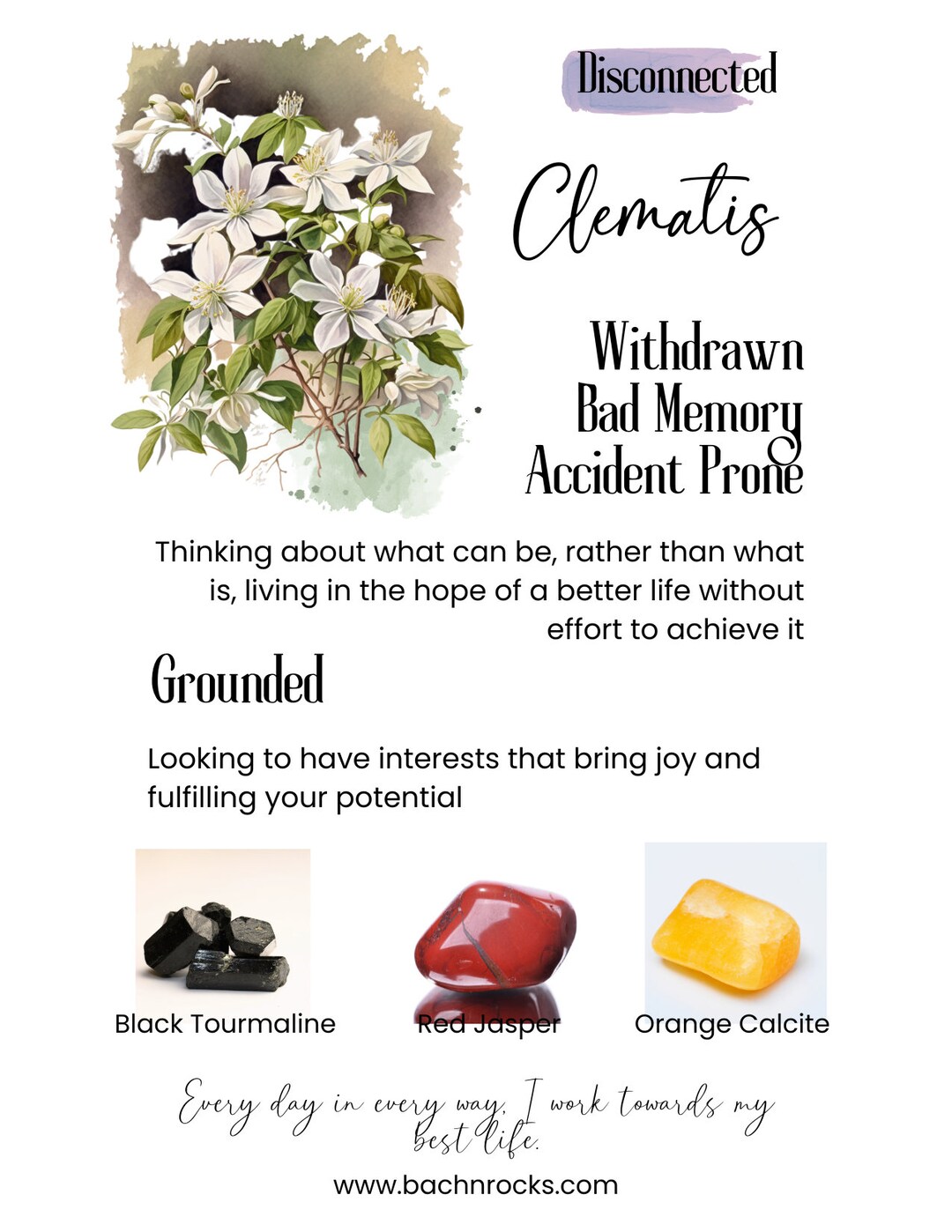 Bach Flower Essence CLEMATIS Lack of Interest Withdrawn Etsy