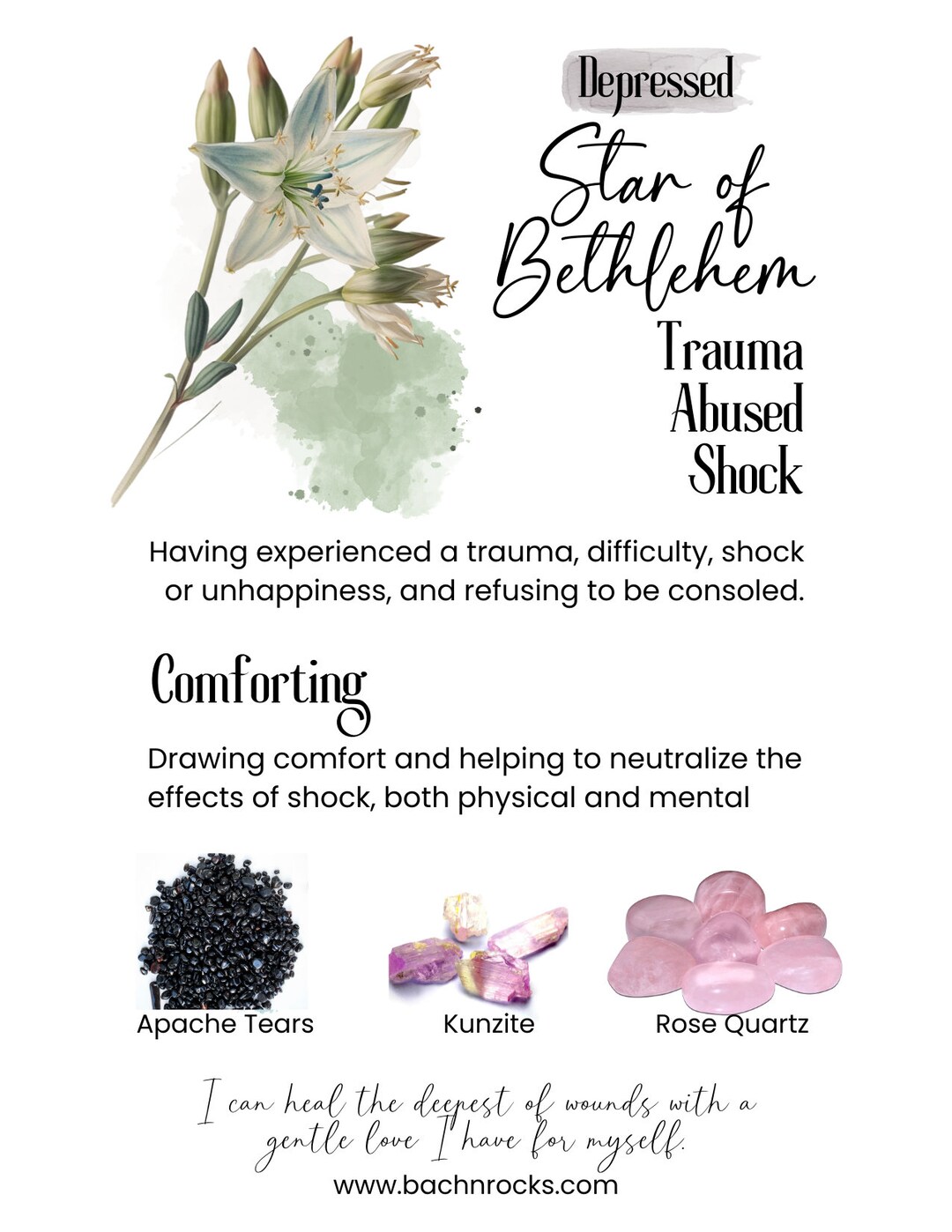 Bach Flower Essence STAR OF BETHLEHEM Despondency/despair Shock Grief