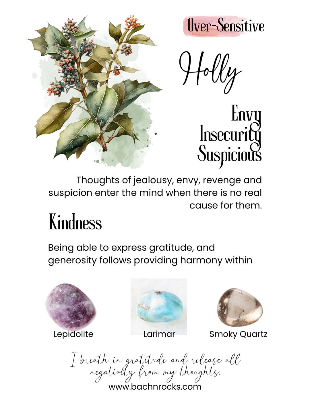 Bach Flower Essence HOLLY Remedy Oversensitive/absence of Etsy