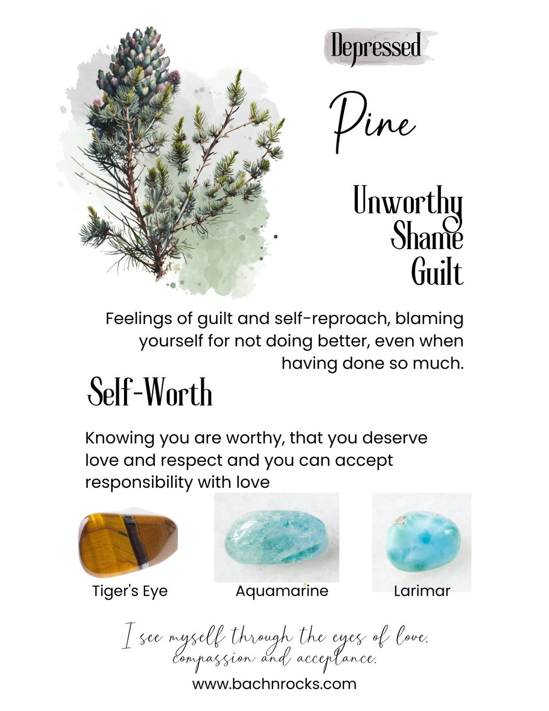 Bach Flower Essence PINE Despondency/despair Unworthy Etsy