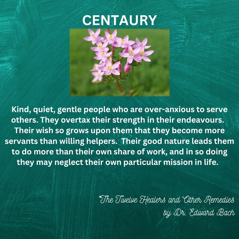 Bach Flower Essence CENTAURY Remedy Over Sensitive Etsy