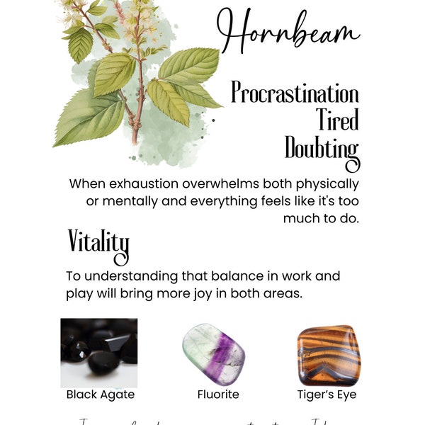 Bach Flower Essence HORNBEAM ~ Uncertainty/Insecure Procrastination Doubting Self ~ People, Dogs, Cats, Horses