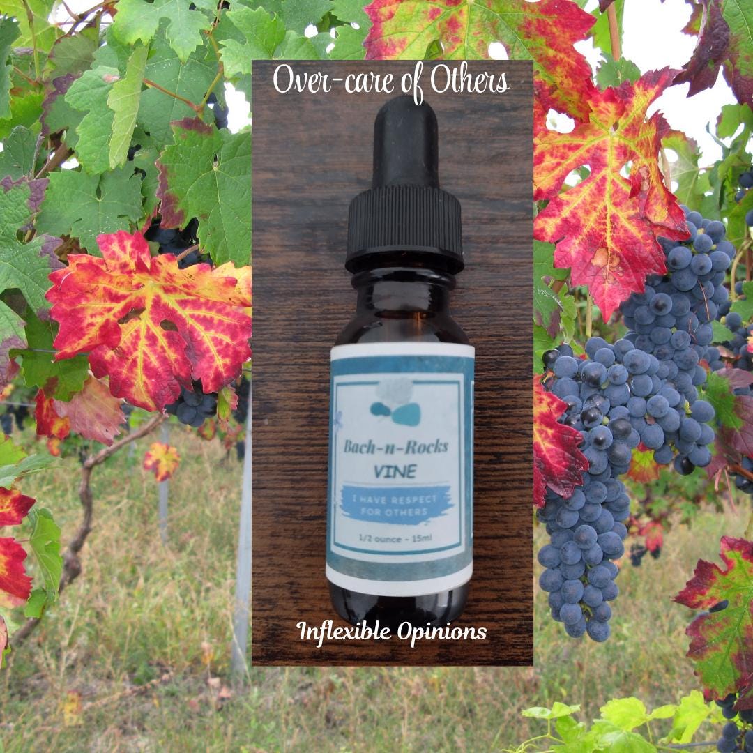 Aggressive, Bossy, Inflexible, Always Right, Overly Assertive, Feeling ...