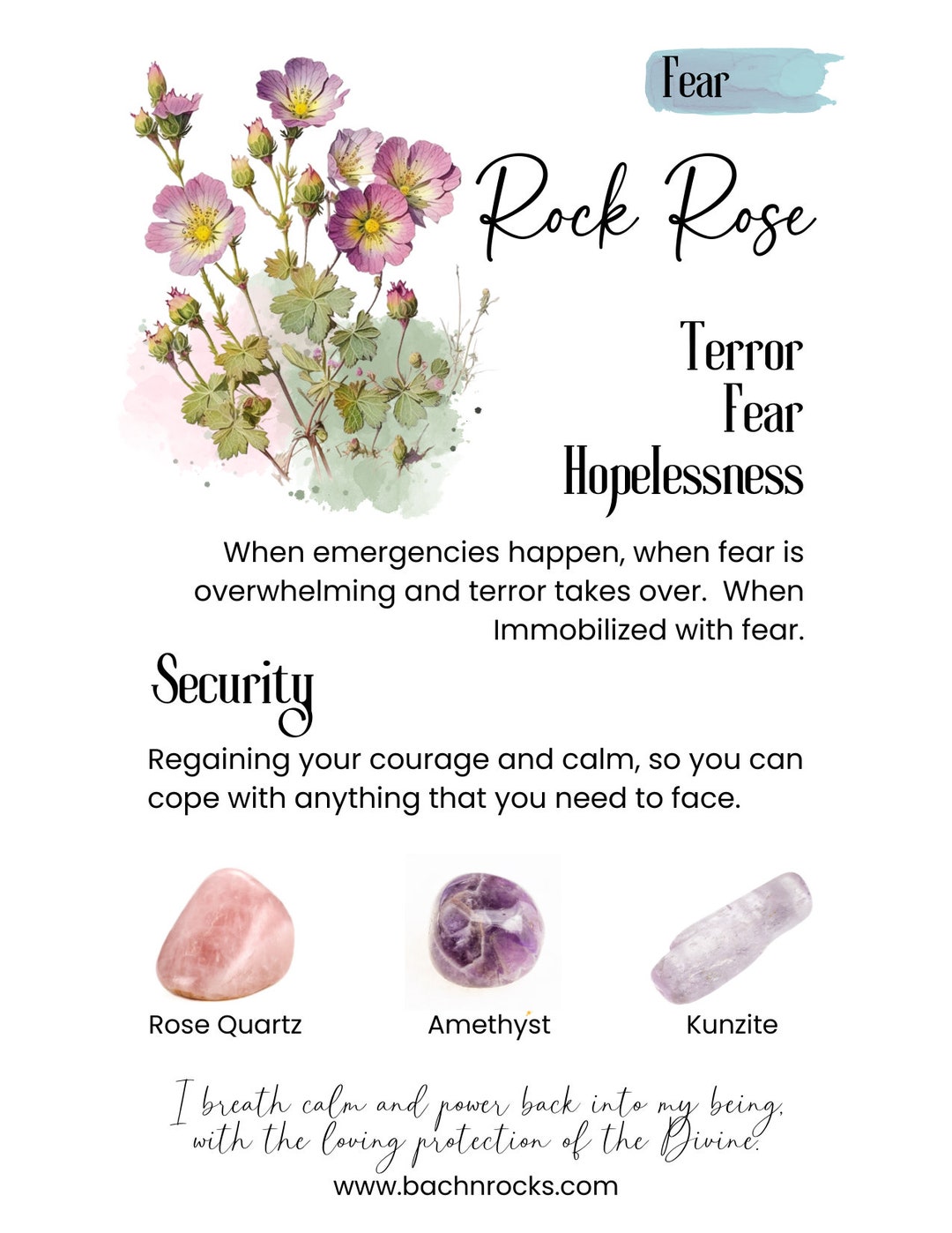 Bach Flower Essence ROCK ROSE Fear/worry to Calm/courage People, Dogs ...