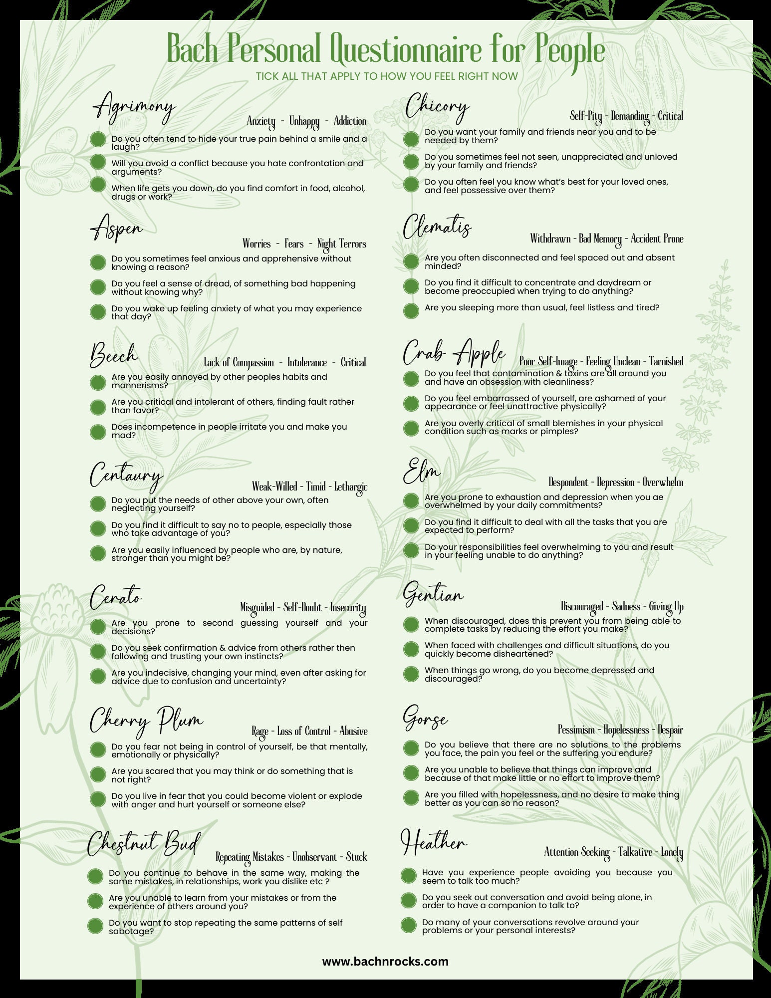 Bach Flower Essence MUSTARD Lack of Interest Gloom Despair Etsy