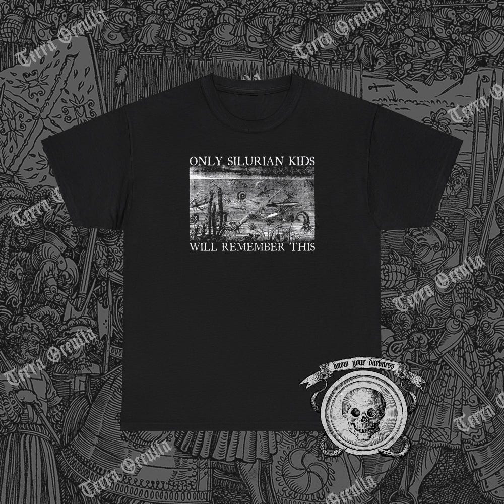 Geology Shirt,Silurian T-Shirt, Cambrian Shirt, Paleozoic Shirt, Prehistoric Shirt, Trilobite Shirt, Precambrian Shirt, Paleontology Shirt Mavenshirts