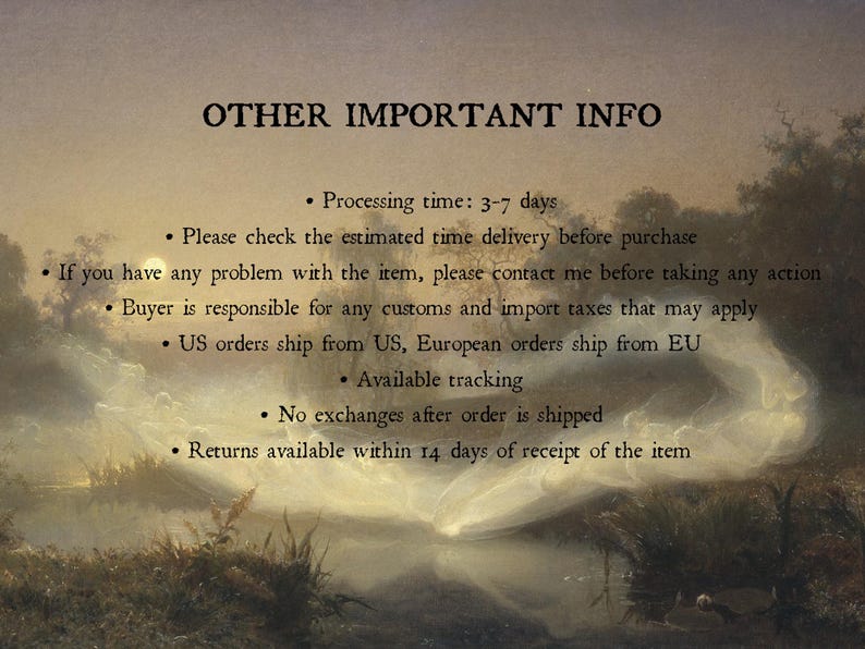 May include: A digital graphic featuring the text OTHER IMPORTANT INFO followed by a list of store policies. The background is a landscape painting depicting a misty, golden-hued river scene with ethereal, swirling white forms over the water.