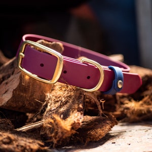 The First Mate Collar - 1" Waterproof, Stink proof, BioThane Vegan Leather Dog Collar- With Solid brass hardware & a BioThane Strap Keeper